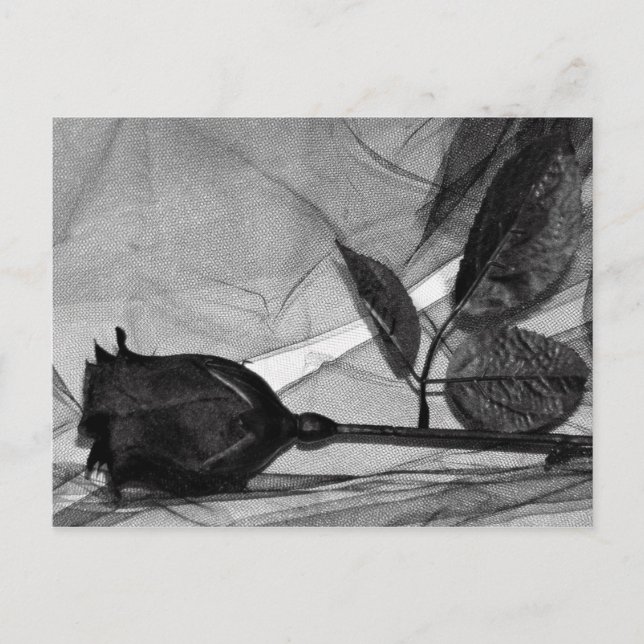 Goth Valentine Feiertagspostkarte (Vorderseite)