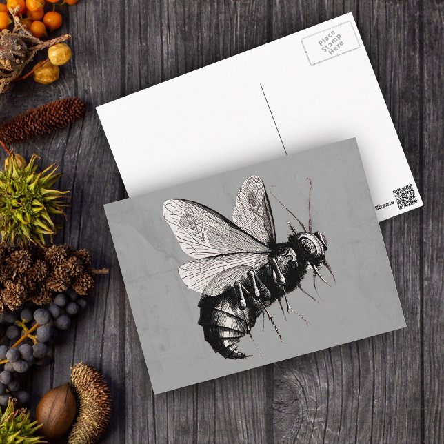 Gothic Bee Skull Wings Postkarte (Big Gothic black white bee skull crossbones on wings on grey postcard.)