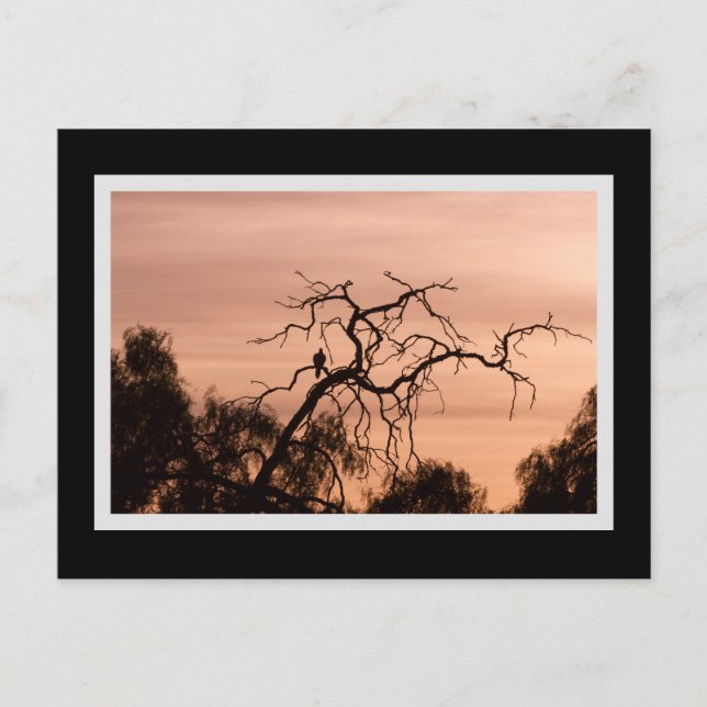 Gothic Bird Dramatischer Sonnenuntergang Postkarte (Vorderseite)