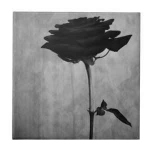 Gothic Black Rose Fliese