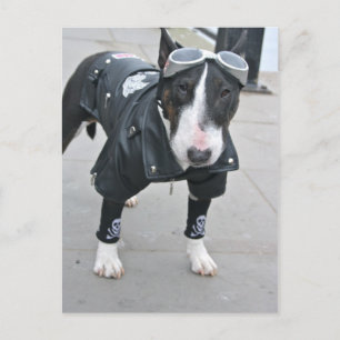 Gothic Bulldog Post Card Postkarte