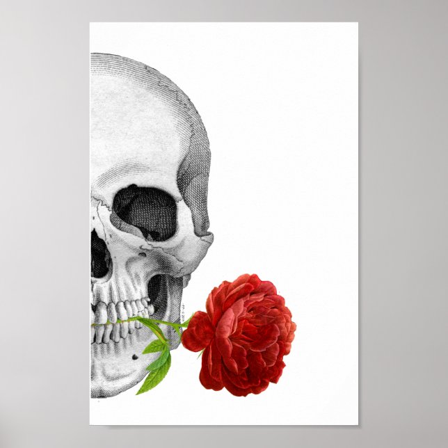 Gothic Half Skull Rose Horror Fantasy Skeleton Poster (Vorne)