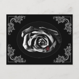 Gothic-Vampir-Schwarzrosen-Postkarten Postkarte