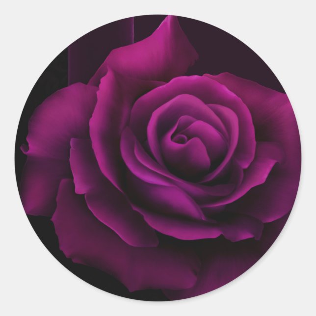 Gotische Blume mit Lila Rote Rose Runder Aufkleber (Vorderseite)
