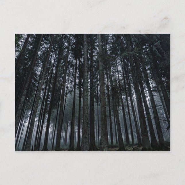 gotische Waldpostkarte Postkarte (Vorderseite)