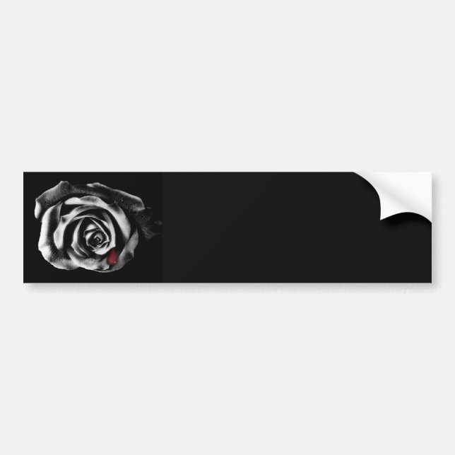 Gotischer Vampire-Schwarz-Rosen-Autoaufkleber Autoaufkleber (Vorne)