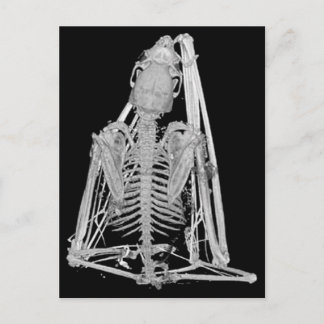 Gotisches Schläger-Skelett Postkarte