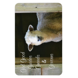 Gott ist gut Schafe Magnet