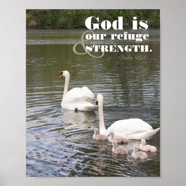 Gott ist unser Refugium Swan Fotograf Poster (Vorne)