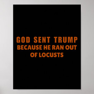 Gott sandte Trump, weil ihm die Heuschrecken ausgi Poster