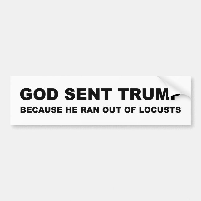 Gott schickte Trump, weil er aus den Schlägen gera Autoaufkleber (Vorne)