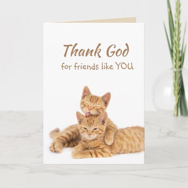 Gott sei Dank für Freunde wie Sie Orange Cat Dankeskarte (Vorderseite)