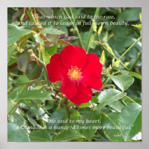 Gott sprach zur Rose Poster