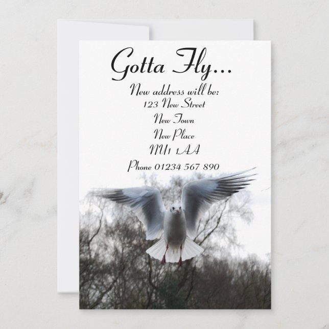 Gotta Fly - Nouvelles Cartes D'Adresse (Devant)