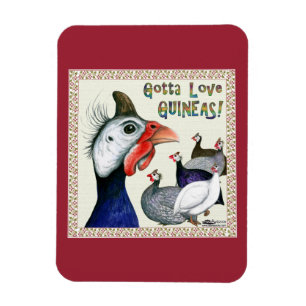 Gotta Liebe Guinea! Magnet
