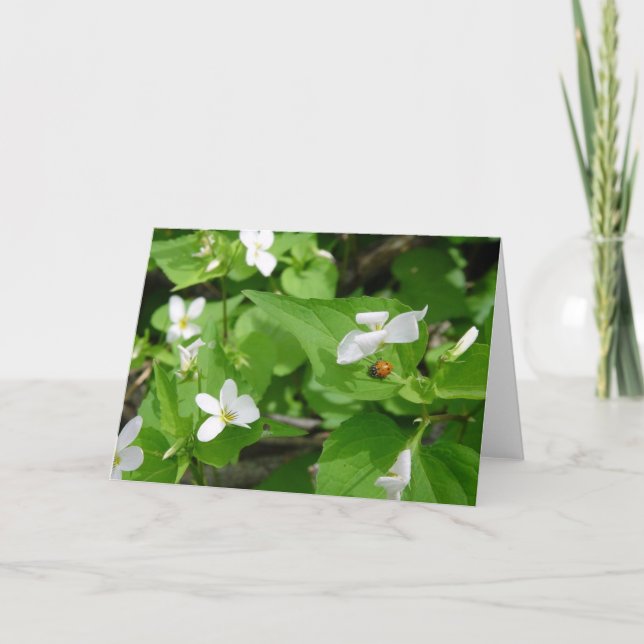 Gotta Love Ladybugs (3) Carte de voeux (Devant)