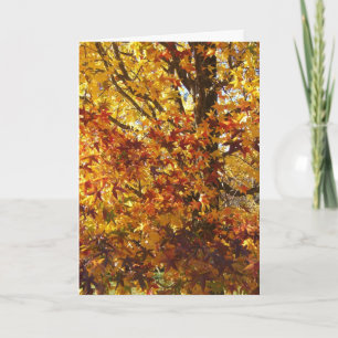 Gottes Herbstglorie Karte