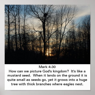 Gottes Königreich Nest Poster