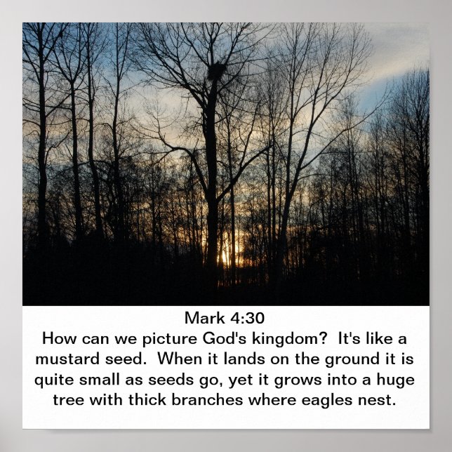 Gottes Königreich Nest Poster (Vorne)