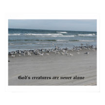 Gottes Kreaturen sind nie allein 24" x 20" Poster