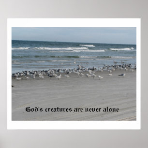 Gottes Kreaturen sind nie allein 24" x 20" Poster