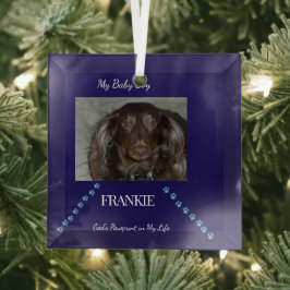 Gottes Pfotenabdruck Andenken Ornament Aus Glas
