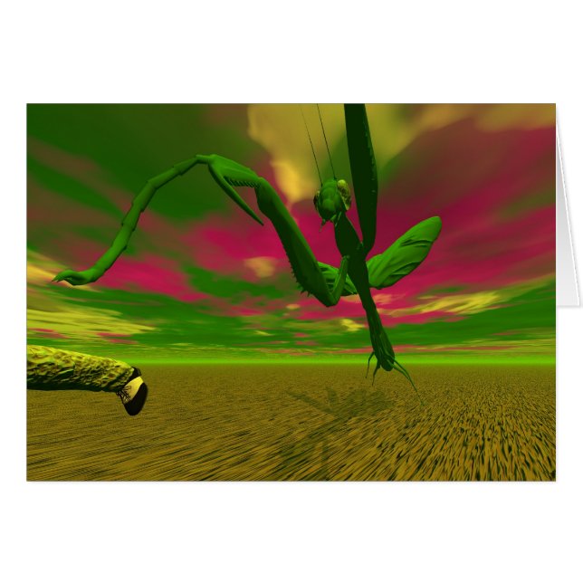 Gottesanbeterin (Vorderseite (Horizontal))