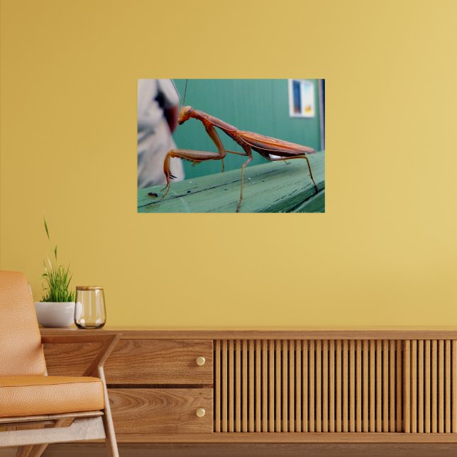 Gottesanbeterin & Ameise Poster (Wohnzimmer 2)