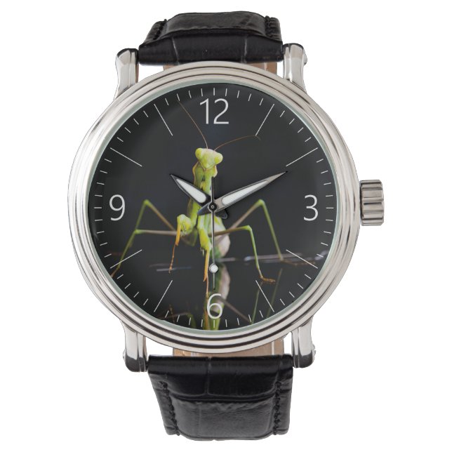 Gottesanbeterin Armbanduhr (Vorderseite)