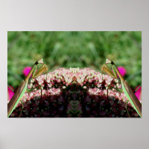 Gottesanbeterin auf Blumen Spiegel Natur Abstrakt Poster