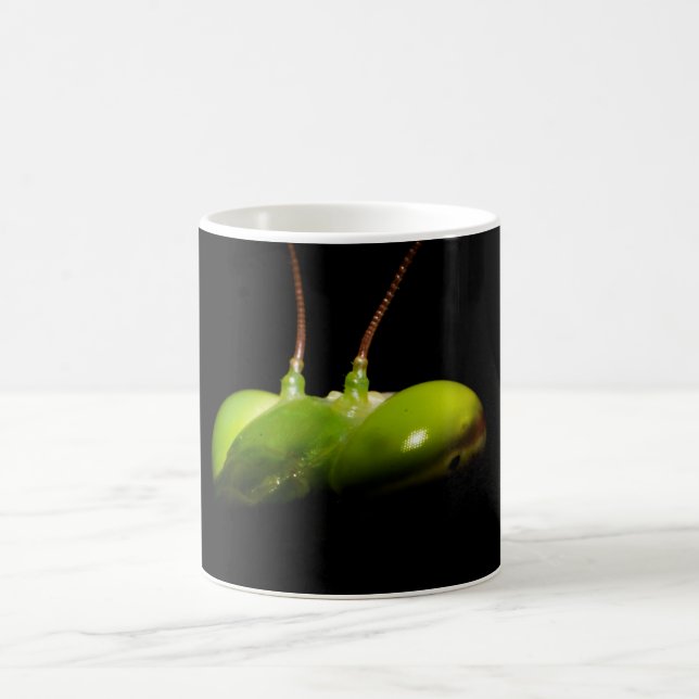 Gottesanbeterin Kaffeetasse (Mittel)