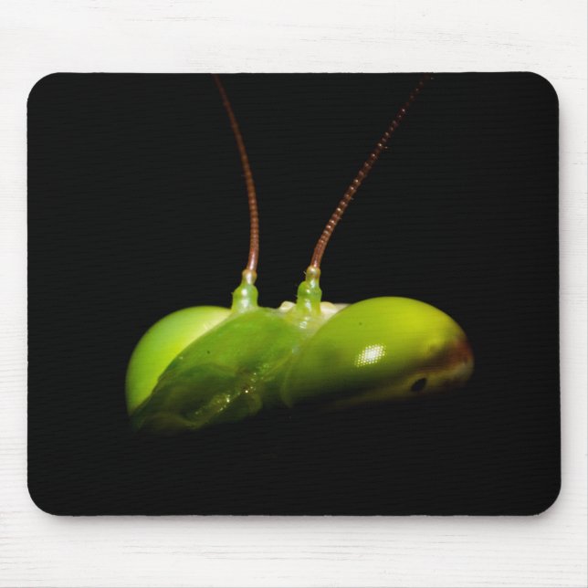 Gottesanbeterin Mousepad (Vorne)