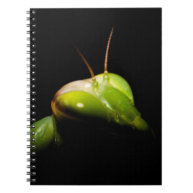 Gottesanbeterin Notizblock (Vorderseite)