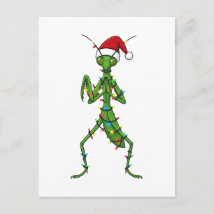 Gottesanbeterin Weihnachten Feiertag Insekt Käfer Postkarte