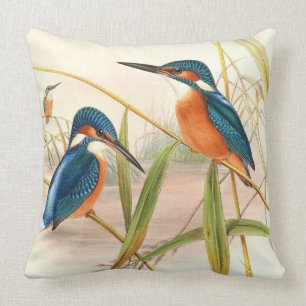 Gould Eisvogel-Wurfs-Kissen Kissen
