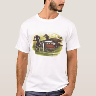 Gould - Harlekin-Ente - Histrionicus histrionicus T-Shirt