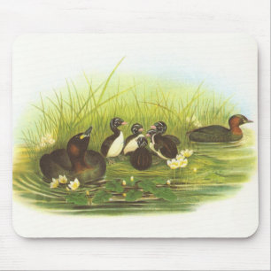 Gould - kleiner Grebe - Podiceps ruficollis Mousepad