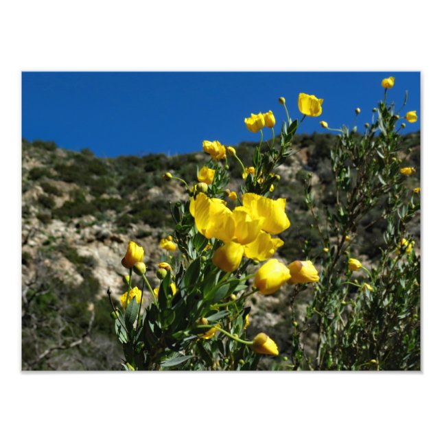 Gould Mesa Trail, CA Fotodruck (Vorne)