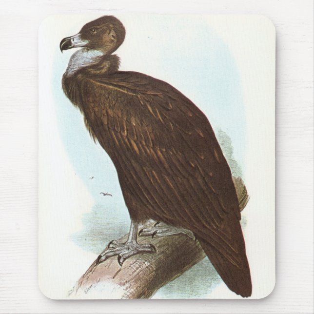 Gould - schwarzer Geier - Aegypius monachus Mousepad (Vorne)