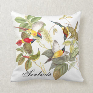 Gould Sunbird Vogel-Tier-Tier-Wurfs-Kissen Kissen