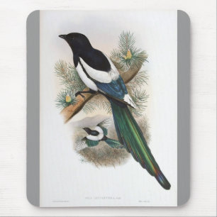 Gould - Weiß-Winged Elster Mousepad