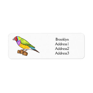Gouldian finch bird Cartoon Illustration