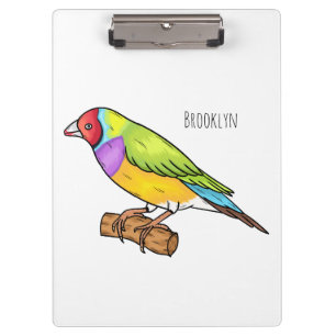 Gouldian finch bird cartoon illustration  klemmbrett