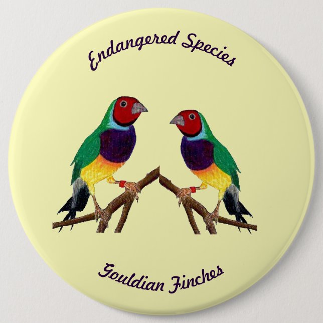 ~ Gouldian Finch ~ Original Art ~ Button (Vorderseite)