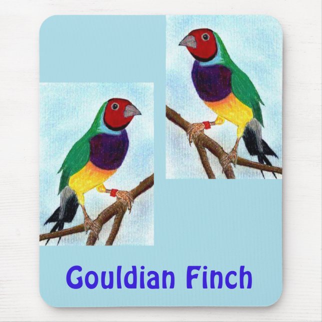 ~ Gouldian Finch ~ Original Art ~ Maus-Pad Mousepad (Vorne)