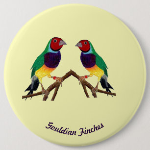 ~ Gouldian Finch ~ Personalisiert ~ Button