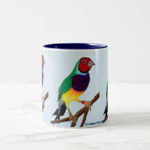 ~ Gouldian Fink ~ ursprüngliches Kunst ~