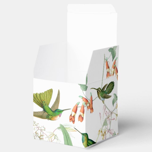 Goulds Hummingbirds Gefälligkeitsbox Geschenkschachtel (Geöffnet)