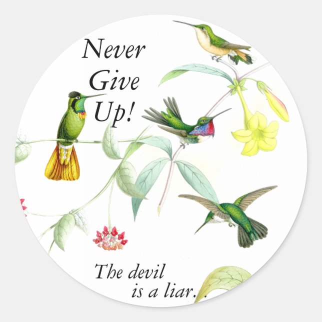 Goulds' Hummingbirds Stickers (Vorderseite)
