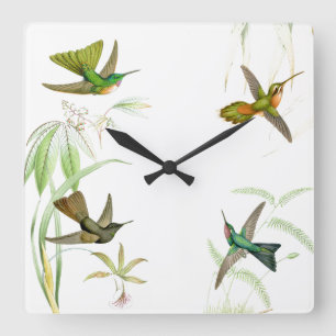 Goulds Hummingbirds Wall Clock Quadratische Wanduhr